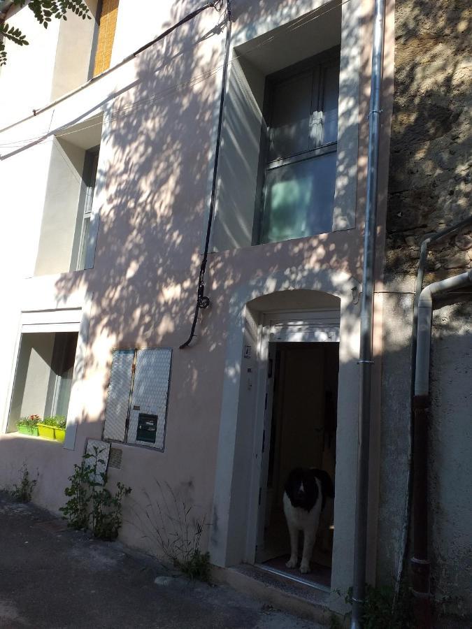 La Maison D Annick Lägenhet Lodève Exteriör bild